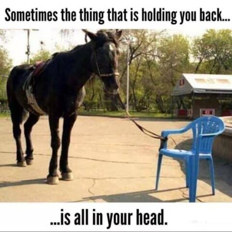 a horse tied to a blue chair with the caption sometimes the thing that is holding you back is